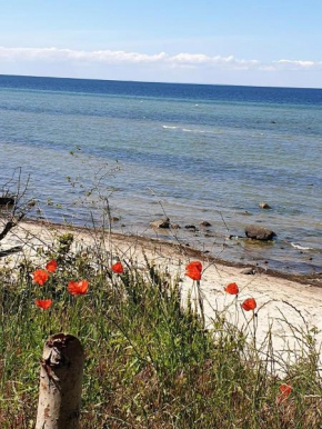 Ferienwohnung Storchenblick Zurow